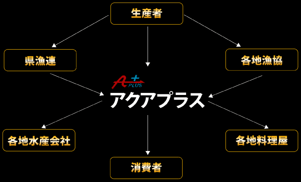 アクアプラスの流通経路